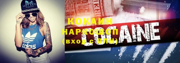 стафф Заводоуковск