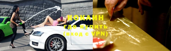 стафф Заводоуковск