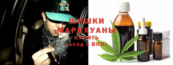 сатива Заволжье