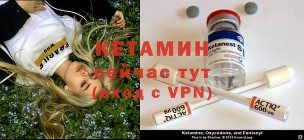 сатива Заволжье