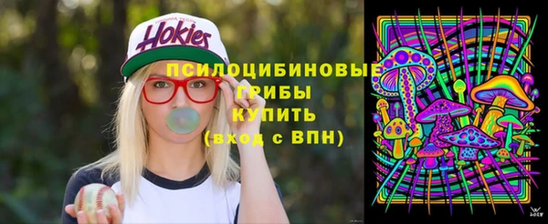 сатива Заволжье