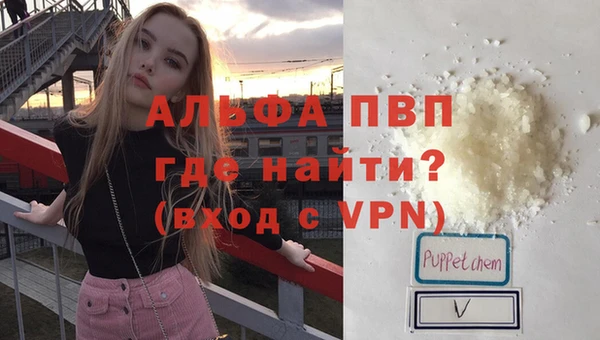 сатива Заволжье